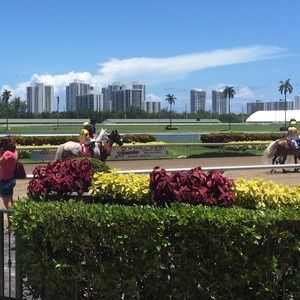 Meet your Posher, Joana